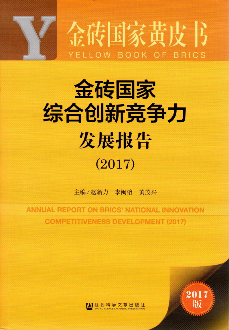 日B干B视频金砖国家综合创新竞争力发展报告（2017）